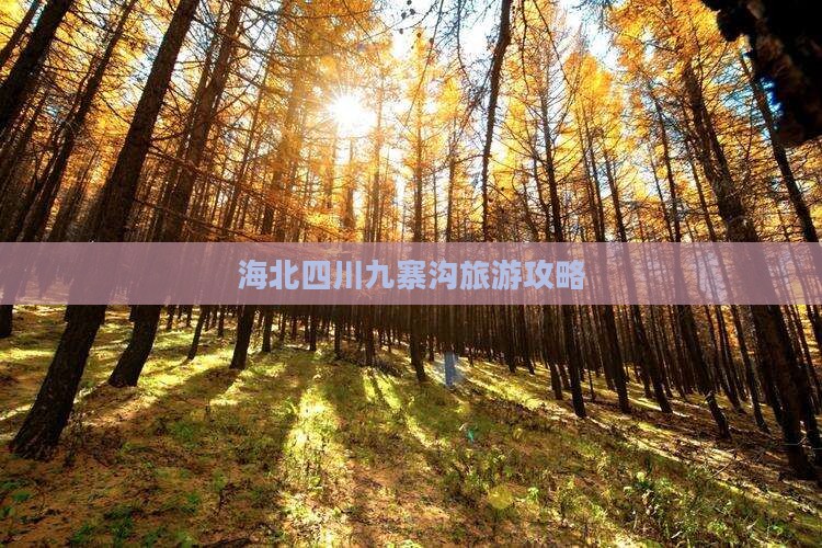 海北去四川九寨沟攻略