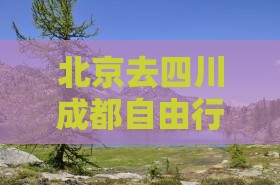 北京去四川成都自由行