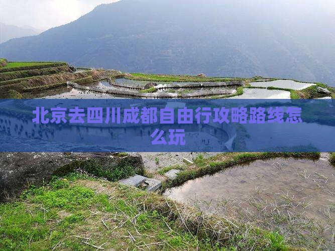 北京去四川成都自由行