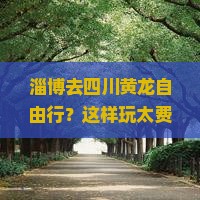 淄博去四川黄龙自由行