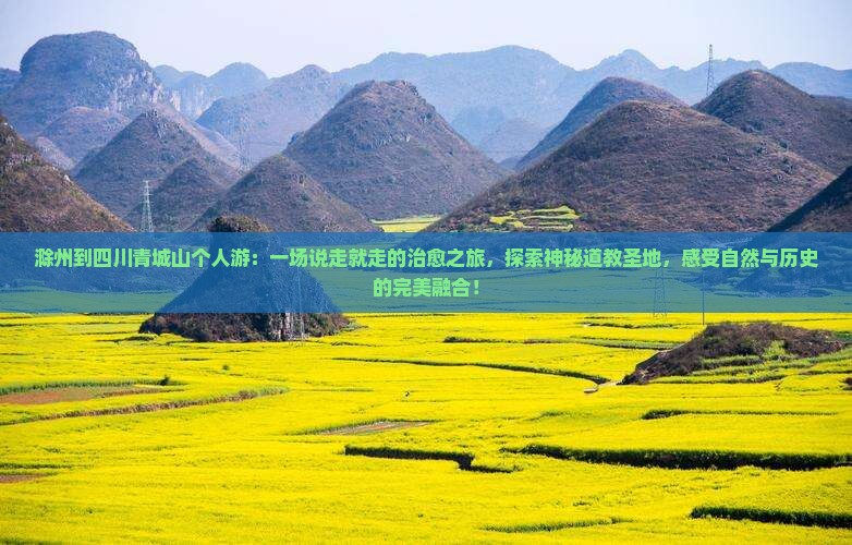 滁州到四川青城山个人游