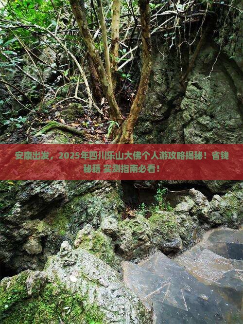 安康到四川乐山大佛个人游