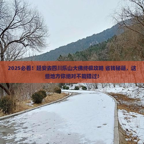 延安去四川乐山大佛哪里玩