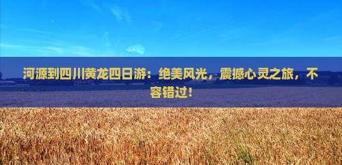 河源到四川黄龙四日游