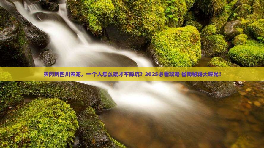 黄冈到四川黄龙个人游 黄冈到四川黄龙个人游