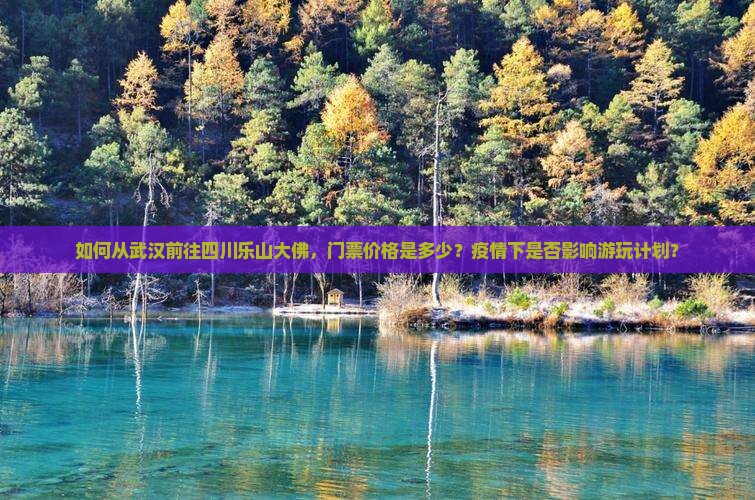 武汉去四川乐山大佛门票