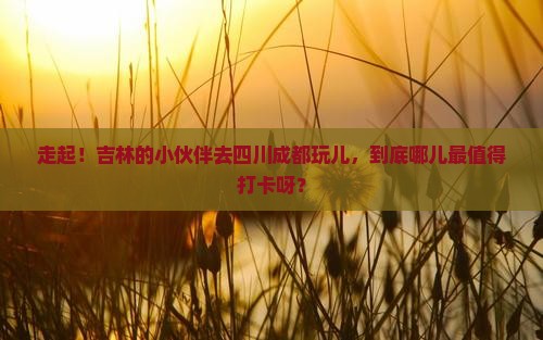 吉林到四川成都哪里玩