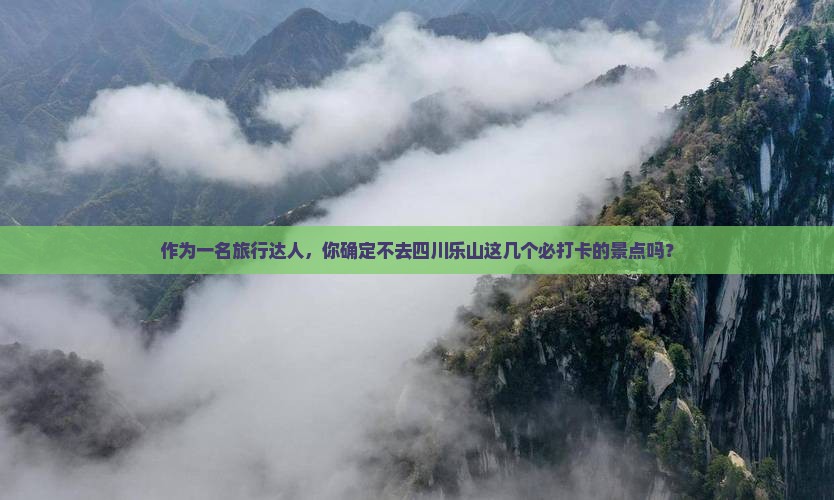 上海到四川乐山大佛必去地