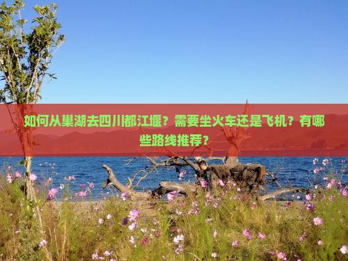 巢湖去四川都江堰攻略
