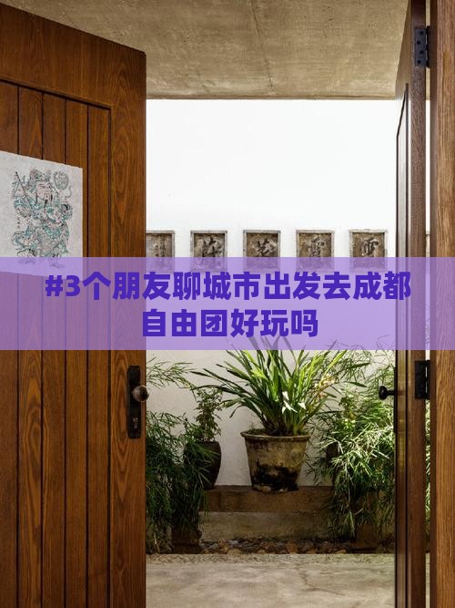 聊城到四川成都自由团