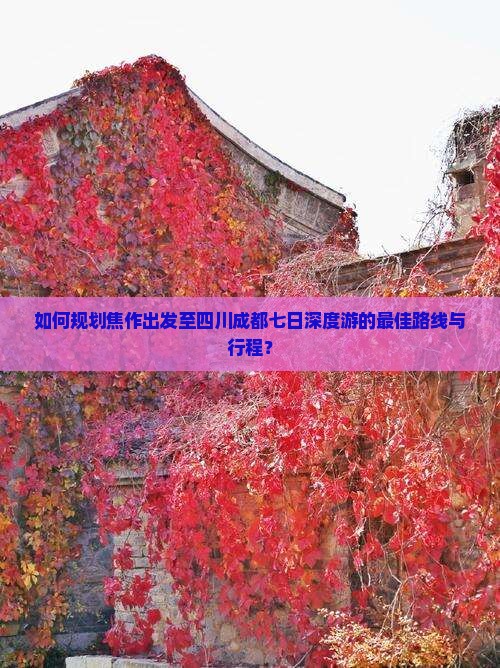 焦作到四川成都七日游
