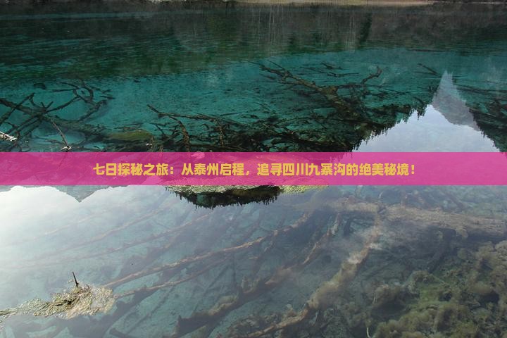 泰州去四川九寨沟七日游