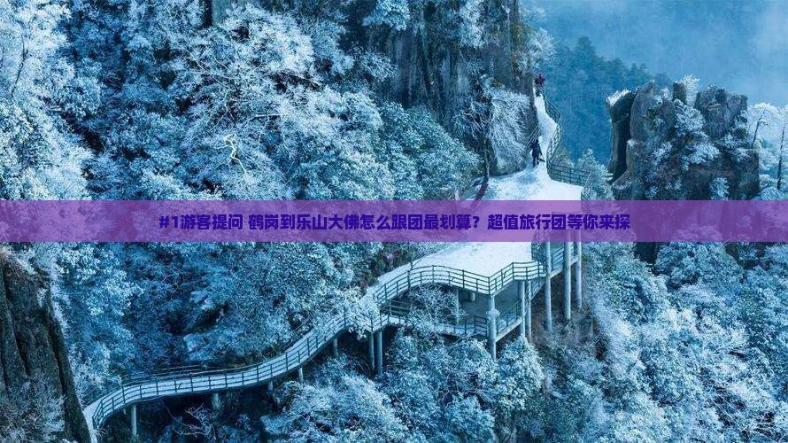 鹤岗去四川乐山大佛旅行社