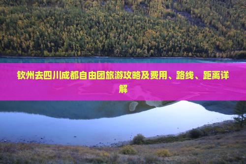 钦州去四川成都自由团