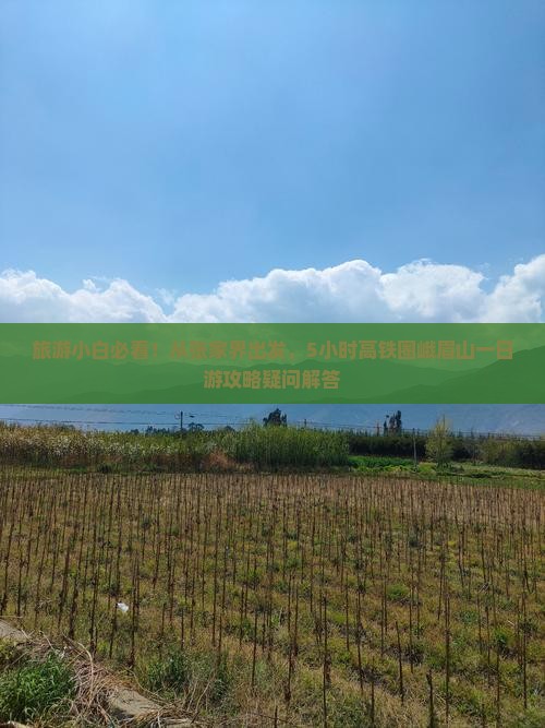 张家界到四川峨眉山一日