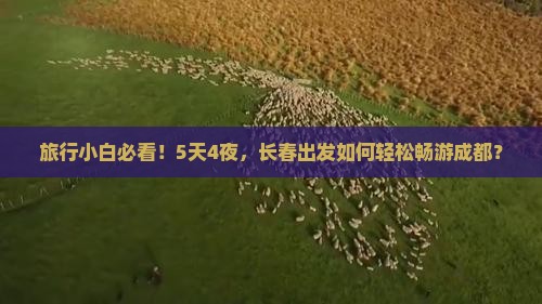 长春到四川成都自由团
