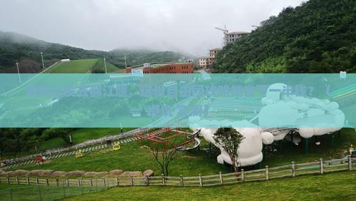 滁州到四川都江堰自由团
