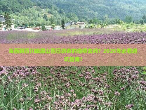 海西到四川峨眉山四日游