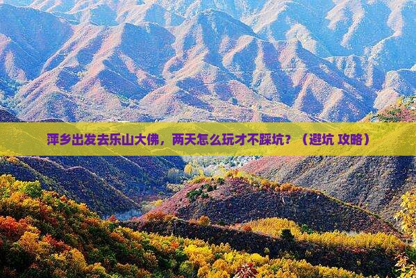 萍乡到四川乐山大佛二日游