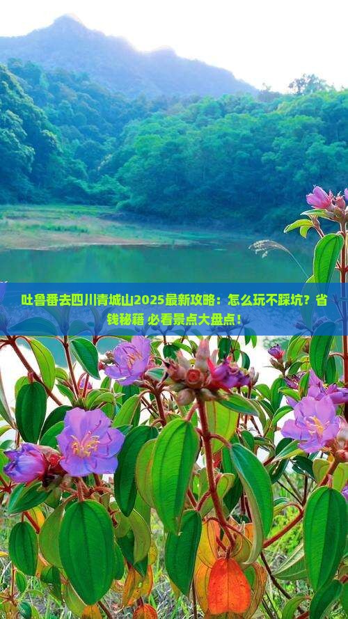 吐鲁番去四川青城山哪里玩