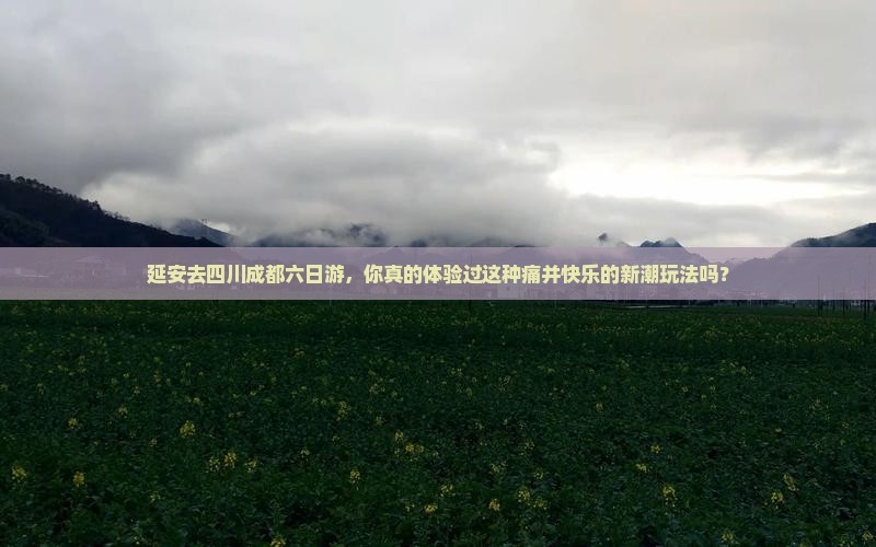 延安去四川成都六日游