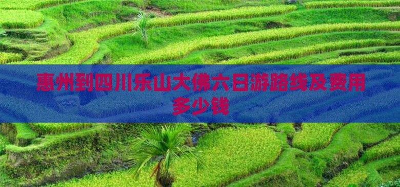 惠州到四川乐山大佛六日游