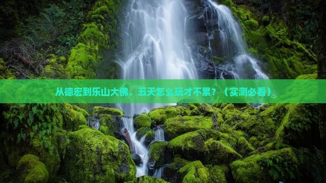 德宏去四川乐山大佛五日游