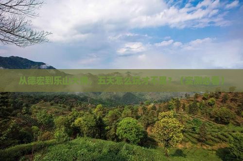 德宏去四川乐山大佛五日游