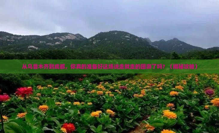 乌鲁木齐去四川成都团体旅游