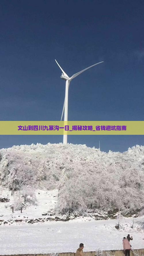 文山到四川九寨沟一日