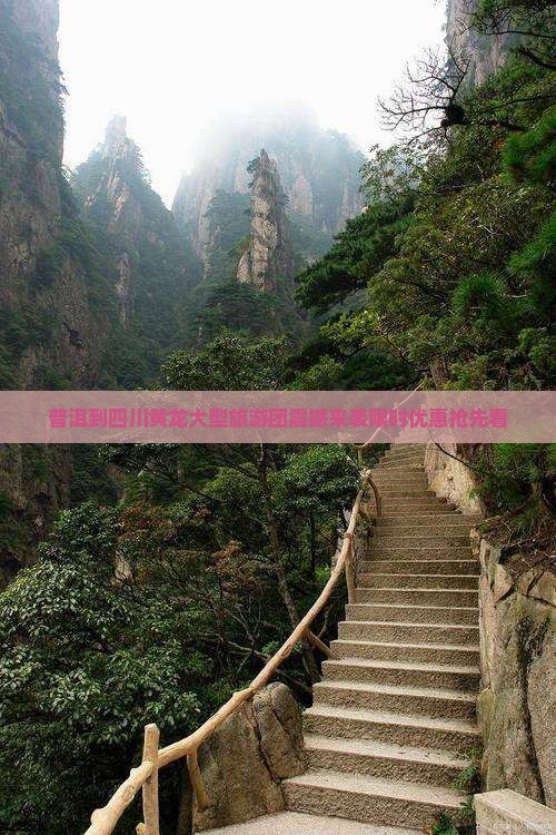 普洱到四川黄龙大型旅游团