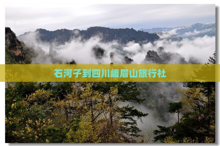 石河子到四川峨眉山旅行社