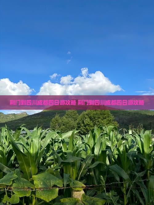 荆门到四川成都四日游
