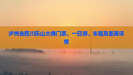 泸州去四川乐山大佛门票