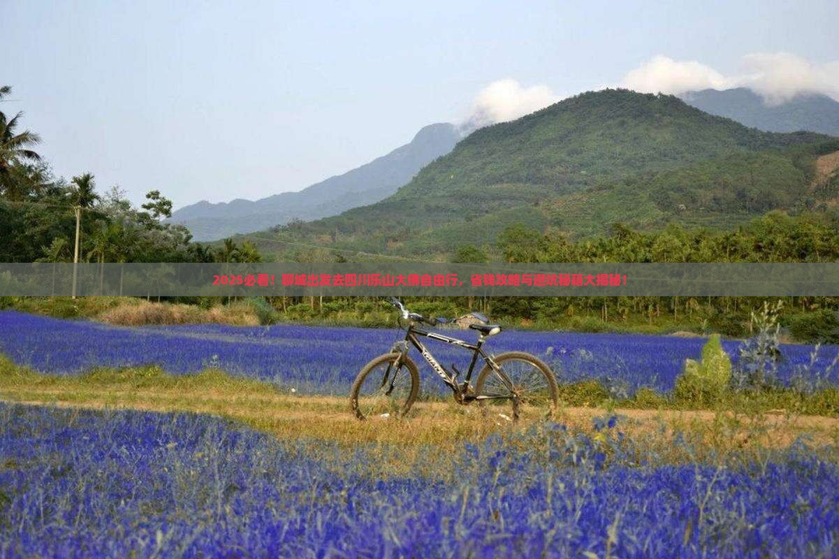 聊城去四川乐山大佛自由团