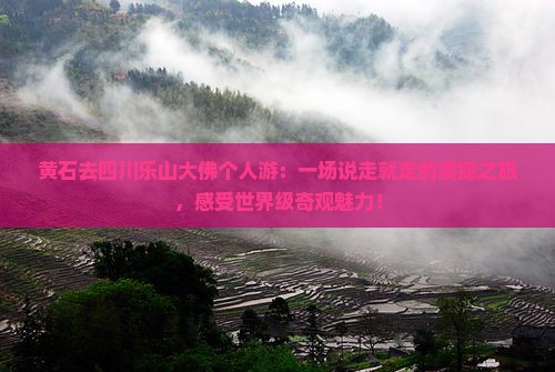 黄石去四川乐山大佛个人游