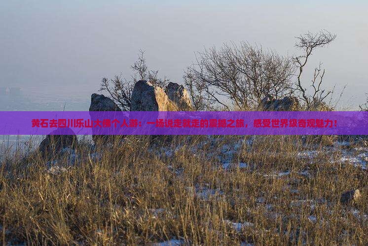 黄石去四川乐山大佛个人游