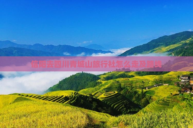 信阳去四川青城山旅行社