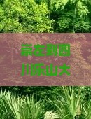 崇左到四川乐山大佛二日游
