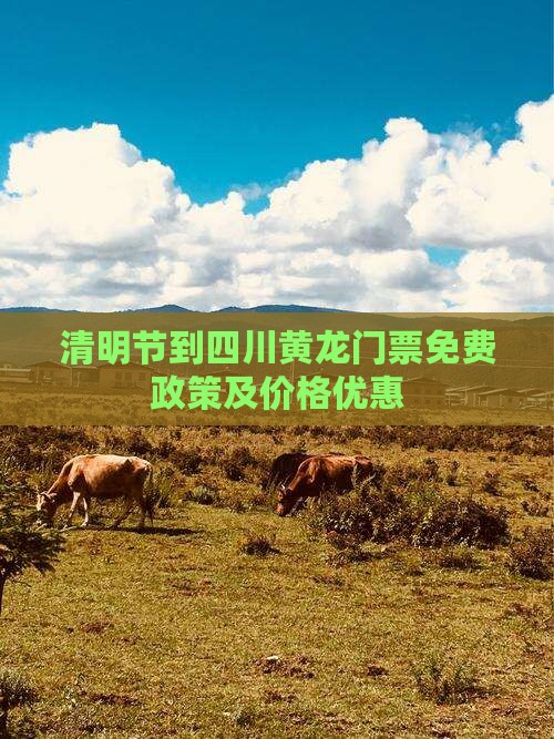 清明节到四川黄龙门票