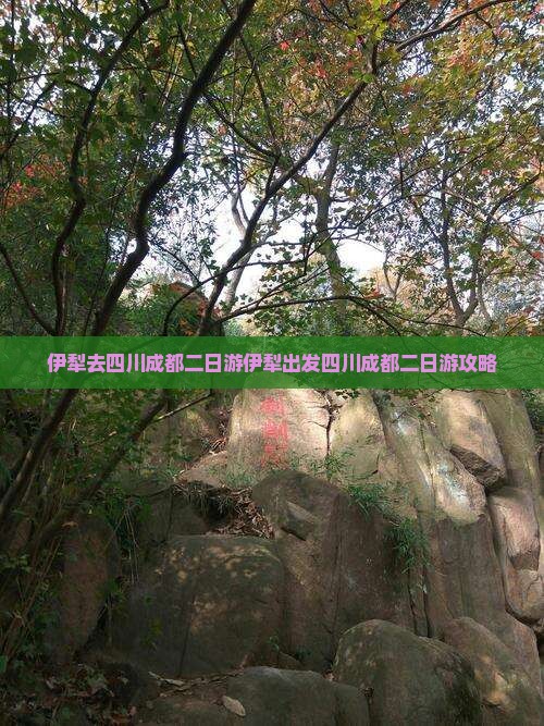 伊犁去四川成都二日游