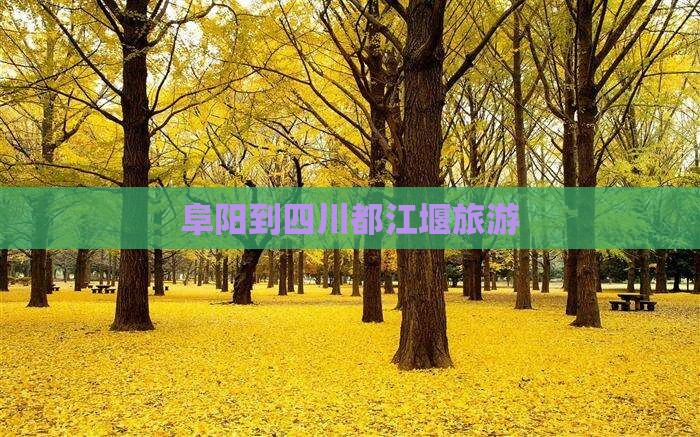 阜阳到四川都江堰旅游
