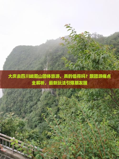 大庆去四川峨眉山团体旅游 大庆去四川峨眉山团体旅游