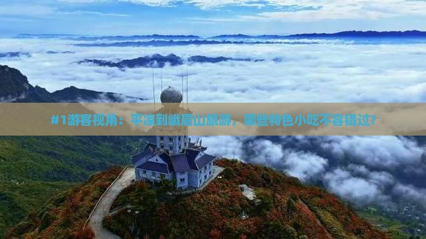 平凉去四川峨眉山旅游小吃