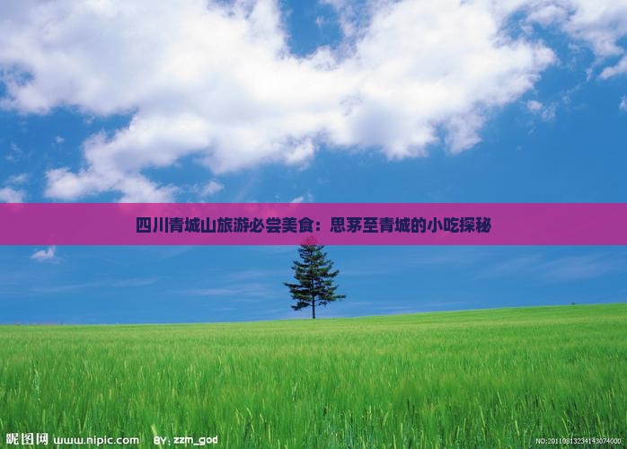 思茅去四川青城山旅游小吃