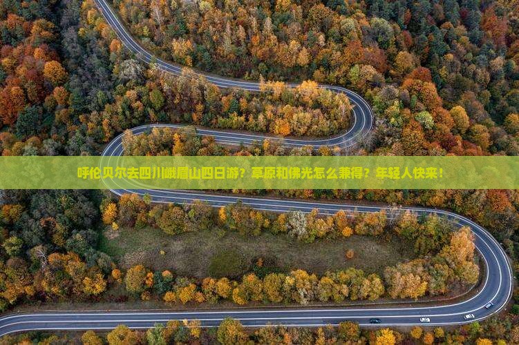 呼伦贝尔去四川峨眉山四日游
