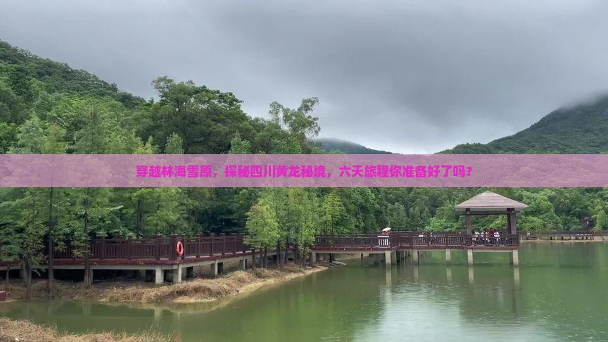 伊春到四川黄龙六日游