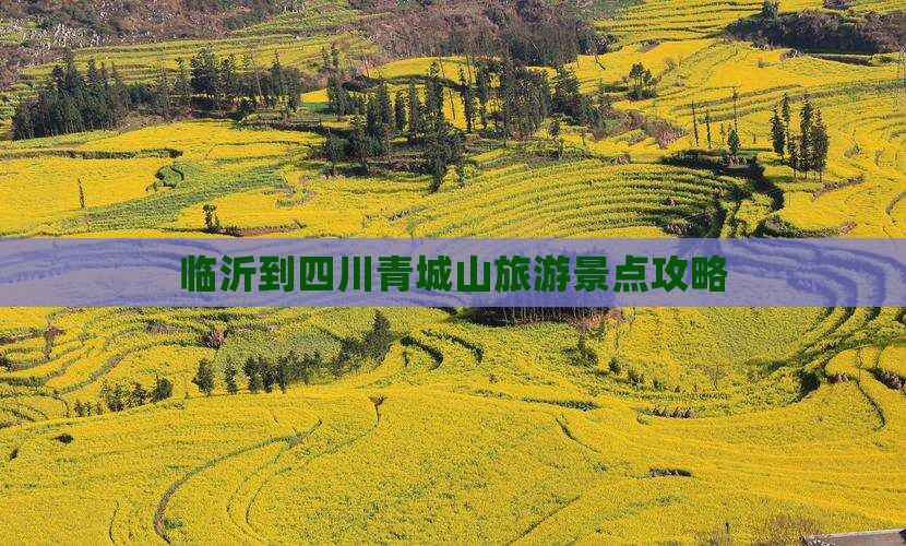 临沂去四川青城山景点