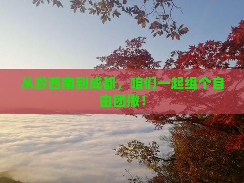 黔西南到四川成都自由团