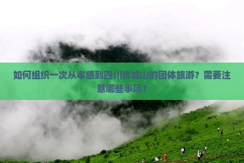 孝感到四川青城山团体旅游